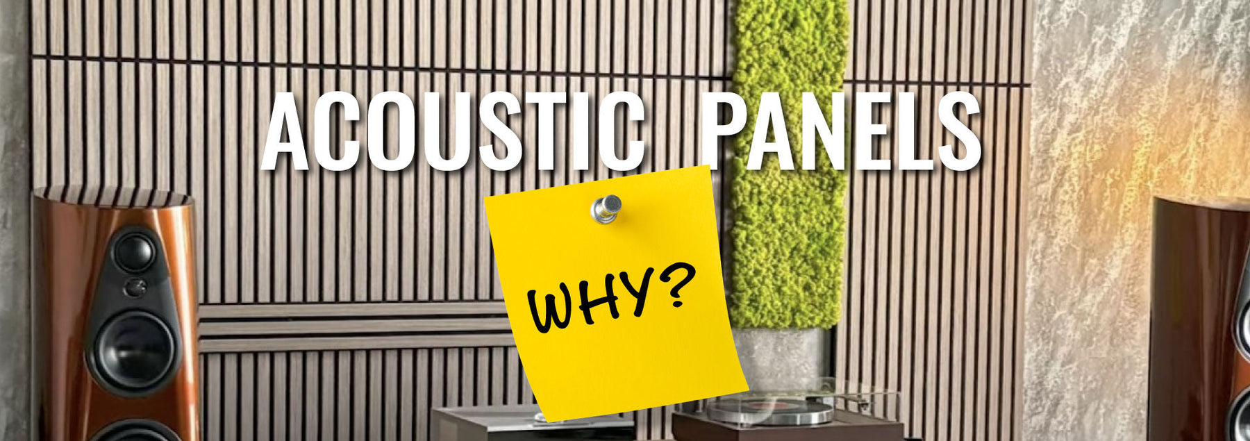 Why Acoustic Panels Are the Design Upgrade Your Space Needs