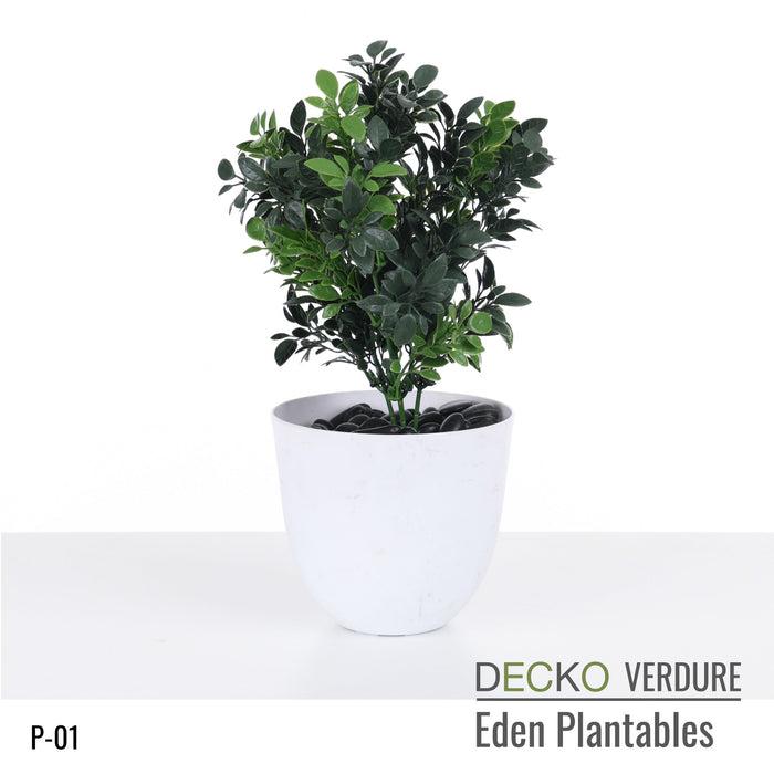 Plantable Artificial Plants - <b>JACINTA</b> Collection (10 different plants) | DECKO Verdure Eden Plantables