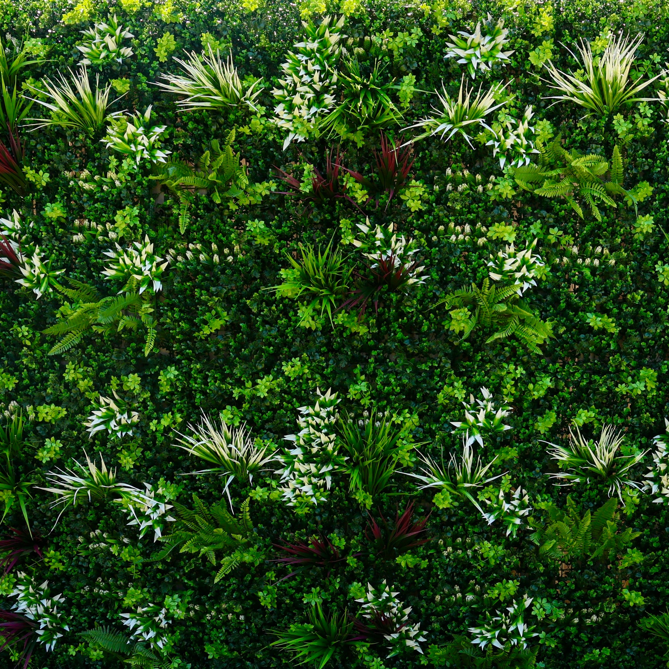 Decko Background DECKO New Zealand - DIY Home Improvement Products - Shop Online