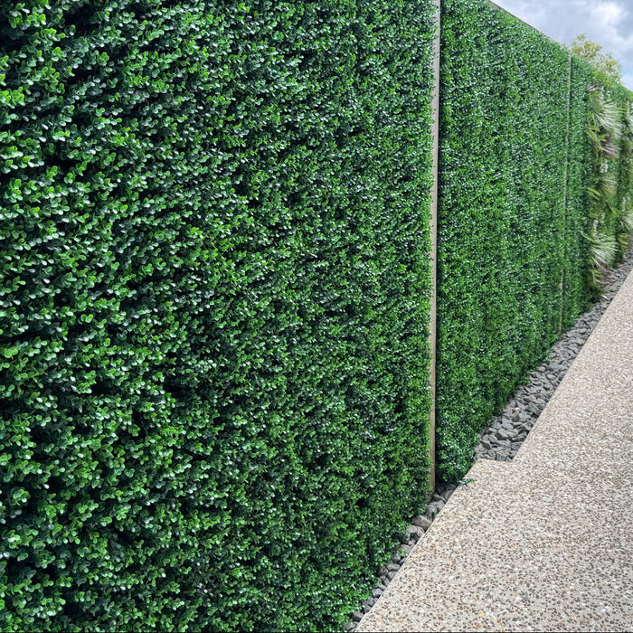 Artificial Plants Green Wall Panel - EVERGREEN - Box of 12 panels - 500x500mm | DECKO VERDURE (3 m² /Box)